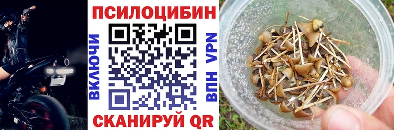 Псилоцибиновые грибы GOLDEN TEACHER  Купить  Топки 